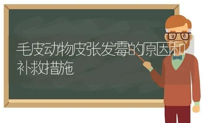 毛皮动物皮张发霉的原因和补救措施 | 养殖技术大全