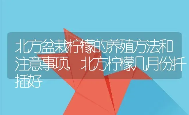 北方盆栽柠檬的养殖方法和注意事项,北方柠檬几月份扦插好 | 养殖学堂