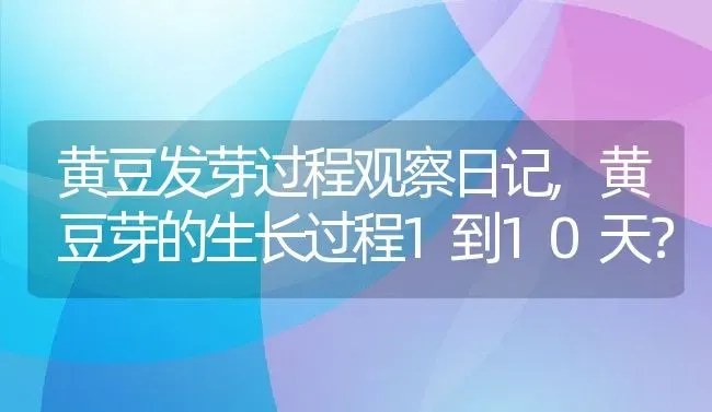 黄豆发芽过程观察日记,黄豆芽的生长过程1到10天？ | 养殖科普