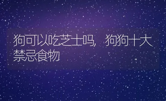 狗可以吃芝士吗,狗狗十大禁忌食物 | 养殖科普