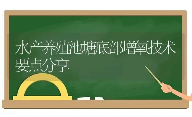 水产养殖池塘底部增氧技术要点分享 | 养殖技术大全