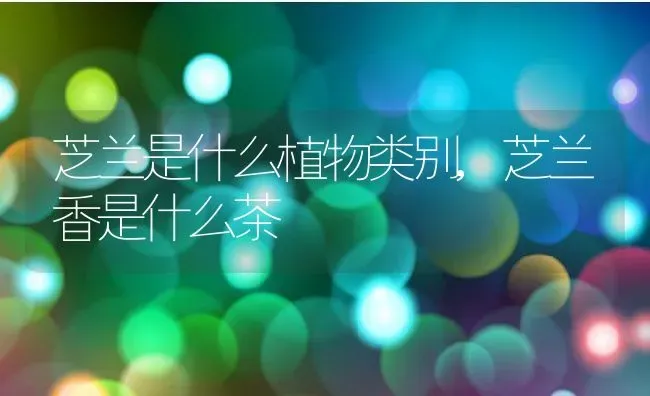 芝兰是什么植物类别,芝兰香是什么茶 | 养殖科普