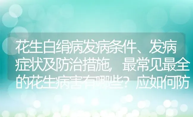 花生白绢病发病条件、发病症状及防治措施,最常见最全的花生病害有哪些？应如何防治 | 养殖学堂