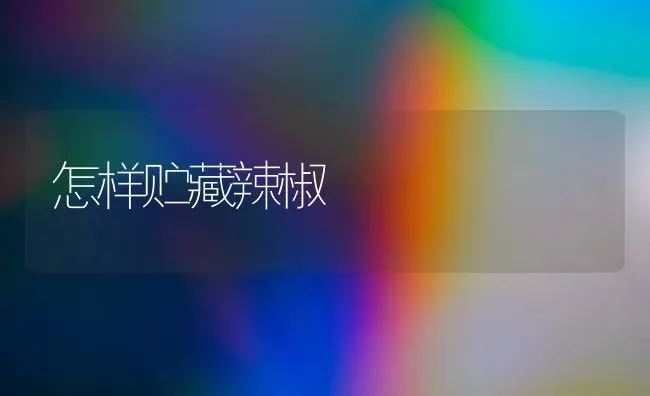 怎样贮藏辣椒 | 养殖知识