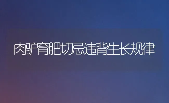 肉驴育肥切忌违背生长规律 | 养殖技术大全