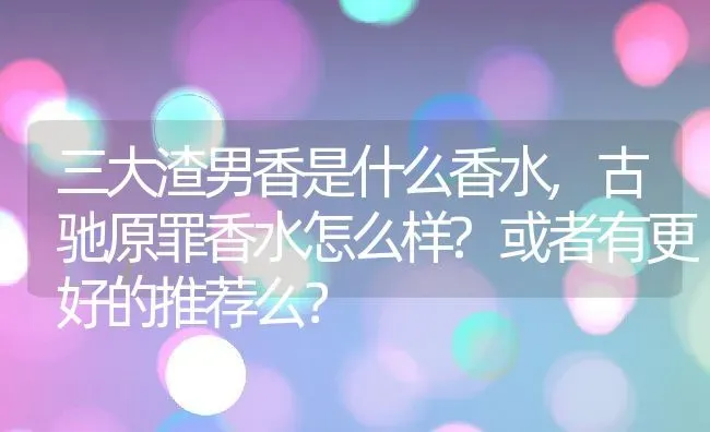 三大渣男香是什么香水,古驰原罪香水怎么样?或者有更好的推荐么？ | 养殖学堂