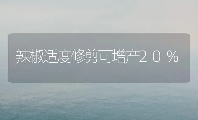 辣椒适度修剪可增产20% | 养殖技术大全