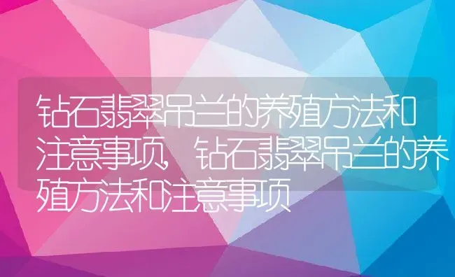 钻石翡翠吊兰的养殖方法和注意事项,钻石翡翠吊兰的养殖方法和注意事项 | 养殖科普