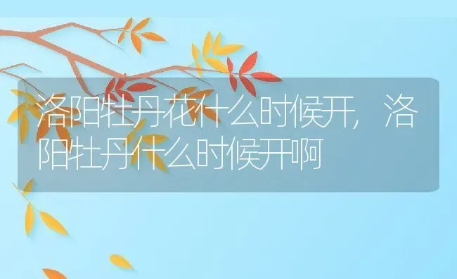 洛阳牡丹花什么时候开,洛阳牡丹什么时候开啊 | 养殖学堂