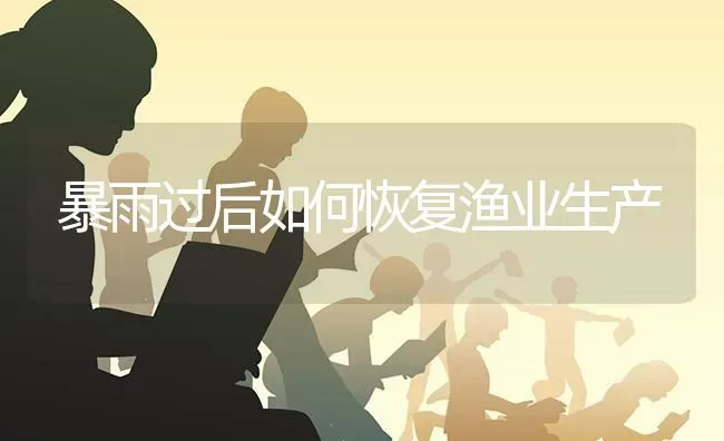 暴雨过后如何恢复渔业生产 | 养殖知识