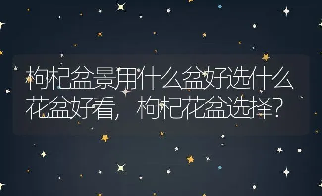 枸杞盆景用什么盆好选什么花盆好看,枸杞花盆选择？ | 养殖科普