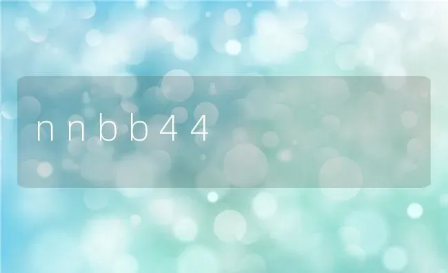 nnbb44 | 养殖科普