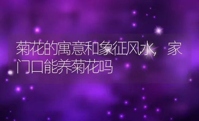 菊花的寓意和象征风水,家门口能养菊花吗 | 养殖学堂
