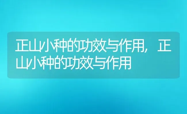 正山小种的功效与作用,正山小种的功效与作用 | 养殖科普