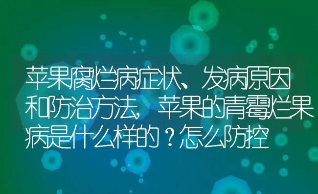 苹果腐烂病症状、发病原因和防治方法,苹果的青霉烂果病是什么样的？怎么防控 | 养殖学堂