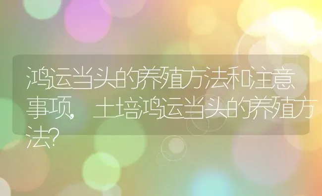 鸿运当头的养殖方法和注意事项,土培鸿运当头的养殖方法？ | 养殖科普