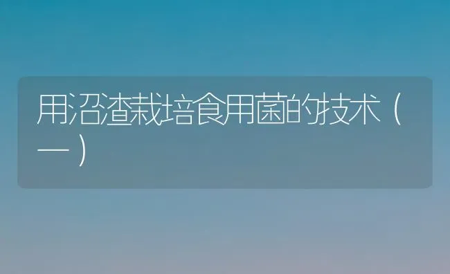 用沼渣栽培食用菌的技术(一) | 养殖技术大全