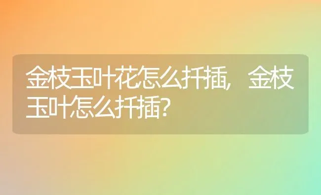 金枝玉叶花怎么扦插,金枝玉叶怎么扦插？ | 养殖科普