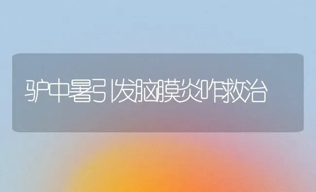 驴中暑引发脑膜炎咋救治 | 养殖知识