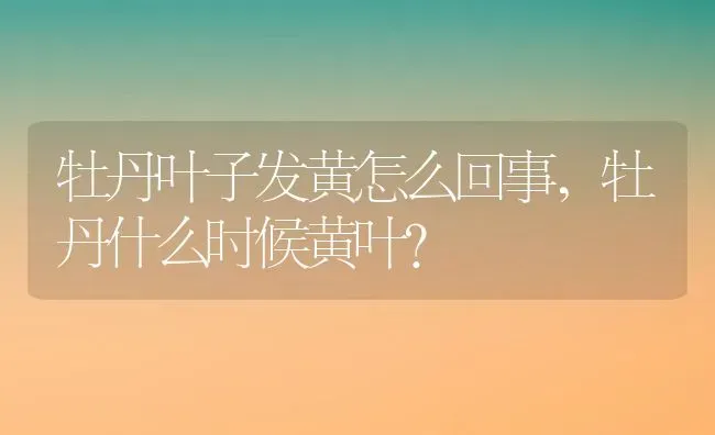 牡丹叶子发黄怎么回事,牡丹什么时候黄叶？ | 养殖科普