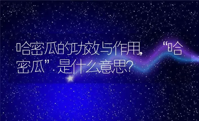 哈密瓜的功效与作用,“哈密瓜”是什么意思？ | 养殖科普