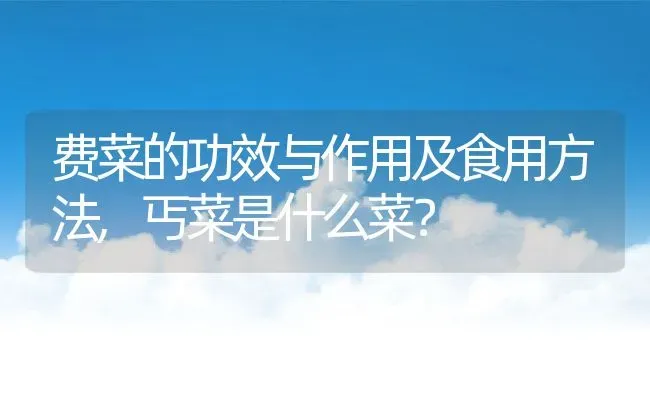 费菜的功效与作用及食用方法,丐菜是什么菜？ | 养殖科普