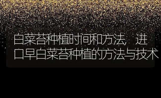 白菜苔种植时间和方法,进口早白菜苔种植的方法与技术 | 养殖学堂