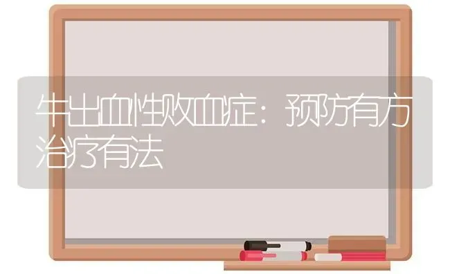 牛出血性败血症：预防有方治疗有法 | 养殖技术大全