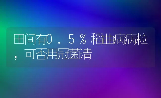 田间有0.5%稻曲病病粒,可否用冠菌清 | 养殖知识