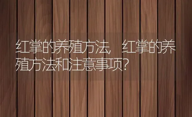 红掌的养殖方法,红掌的养殖方法和注意事项？ | 养殖科普