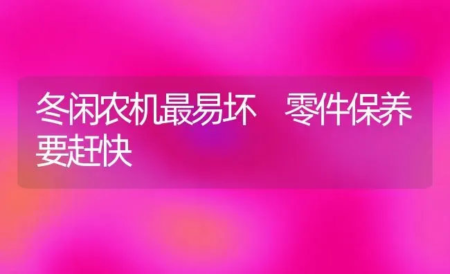 冬闲农机最易坏 零件保养要赶快 | 养殖技术大全