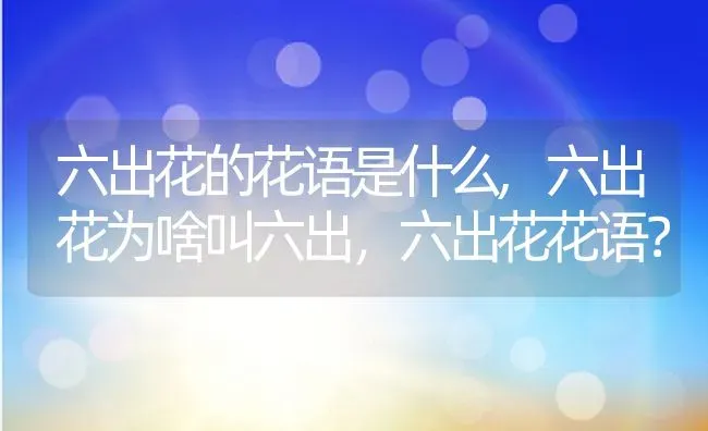 六出花的花语是什么,六出花为啥叫六出，六出花花语？ | 养殖科普
