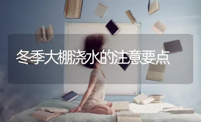 冬季大棚浇水的注意要点 | 养殖技术大全