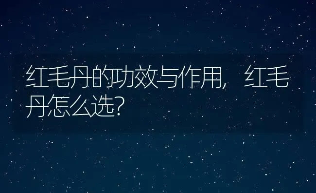 红毛丹的功效与作用,红毛丹怎么选？ | 养殖科普