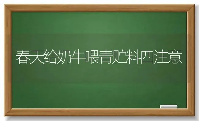 春天给奶牛喂青贮料四注意 | 养殖技术大全