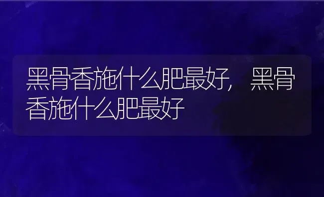 黑骨香施什么肥最好,黑骨香施什么肥最好 | 养殖科普