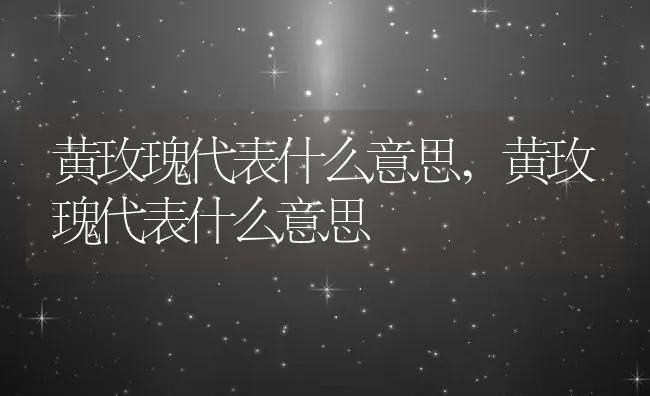 黄玫瑰代表什么意思,黄玫瑰代表什么意思 | 养殖科普