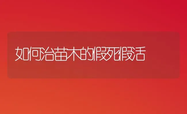 如何治苗木的假死假活 | 养殖知识