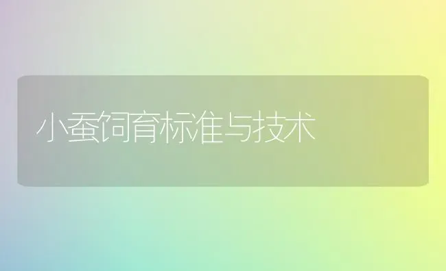 小蚕饲育标准与技术 | 养殖知识