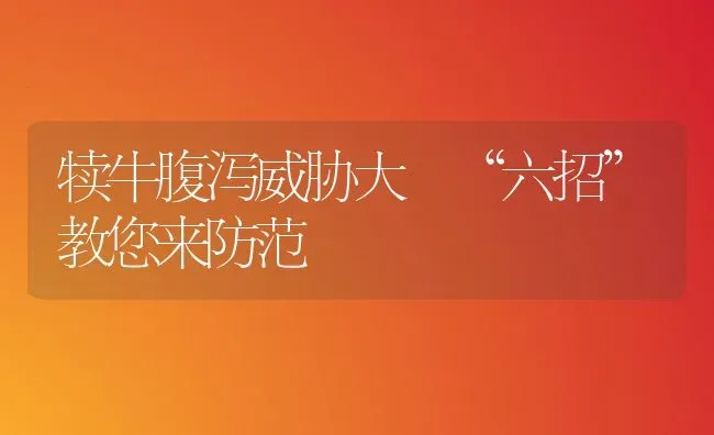犊牛腹泻威胁大 “六招”教您来防范 | 养殖技术大全