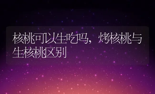 核桃可以生吃吗,烤核桃与生核桃区别 | 养殖学堂