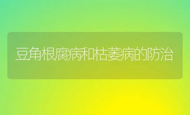 豆角根腐病和枯萎病的防治 | 养殖技术大全