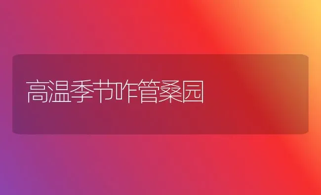 高温季节咋管桑园 | 养殖技术大全