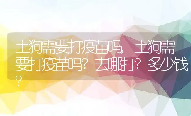 土狗需要打疫苗吗,土狗需要打疫苗吗?去哪打?多少钱? | 养殖科普