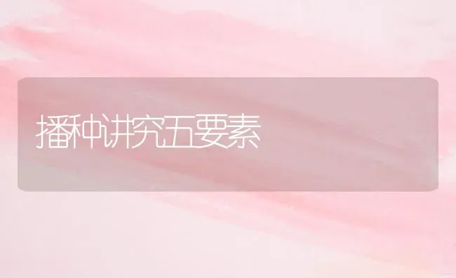 播种讲究五要素 | 养殖知识