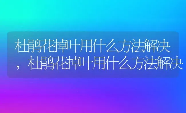 杜鹃花掉叶用什么方法解决,杜鹃花掉叶用什么方法解决 | 养殖科普