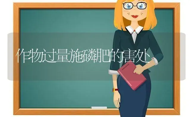 作物过量施磷肥的害处 | 养殖技术大全