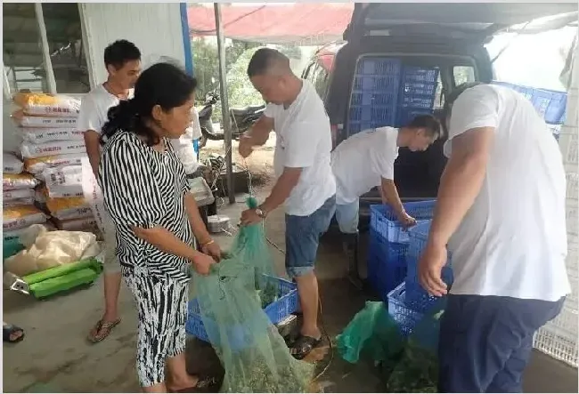 技术讲解:青蛙养殖火爆两湖地区，首场出蛙秀震惊养蛙界！ | 常识大全