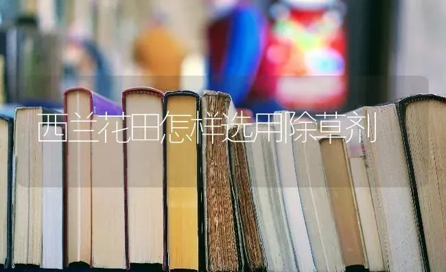西兰花田怎样选用除草剂 | 养殖知识
