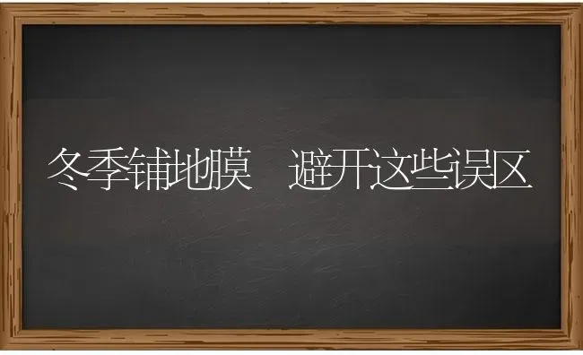 冬季铺地膜 避开这些误区 | 养殖技术大全